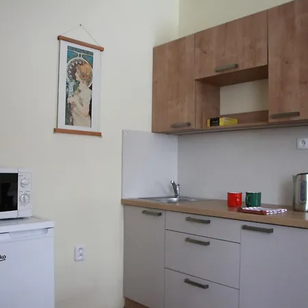 Apartmany Morava 2* Dolni Morava